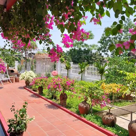 Nha Xanh Homestay Ninh Binh Exterior photo